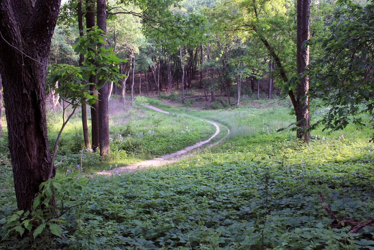 Lapham Peak trail