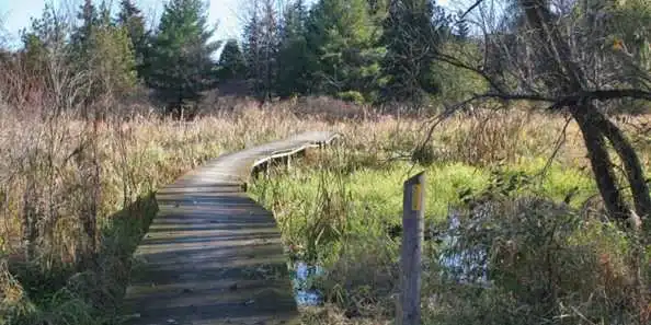 Boardwalk trail at Lapham Peak