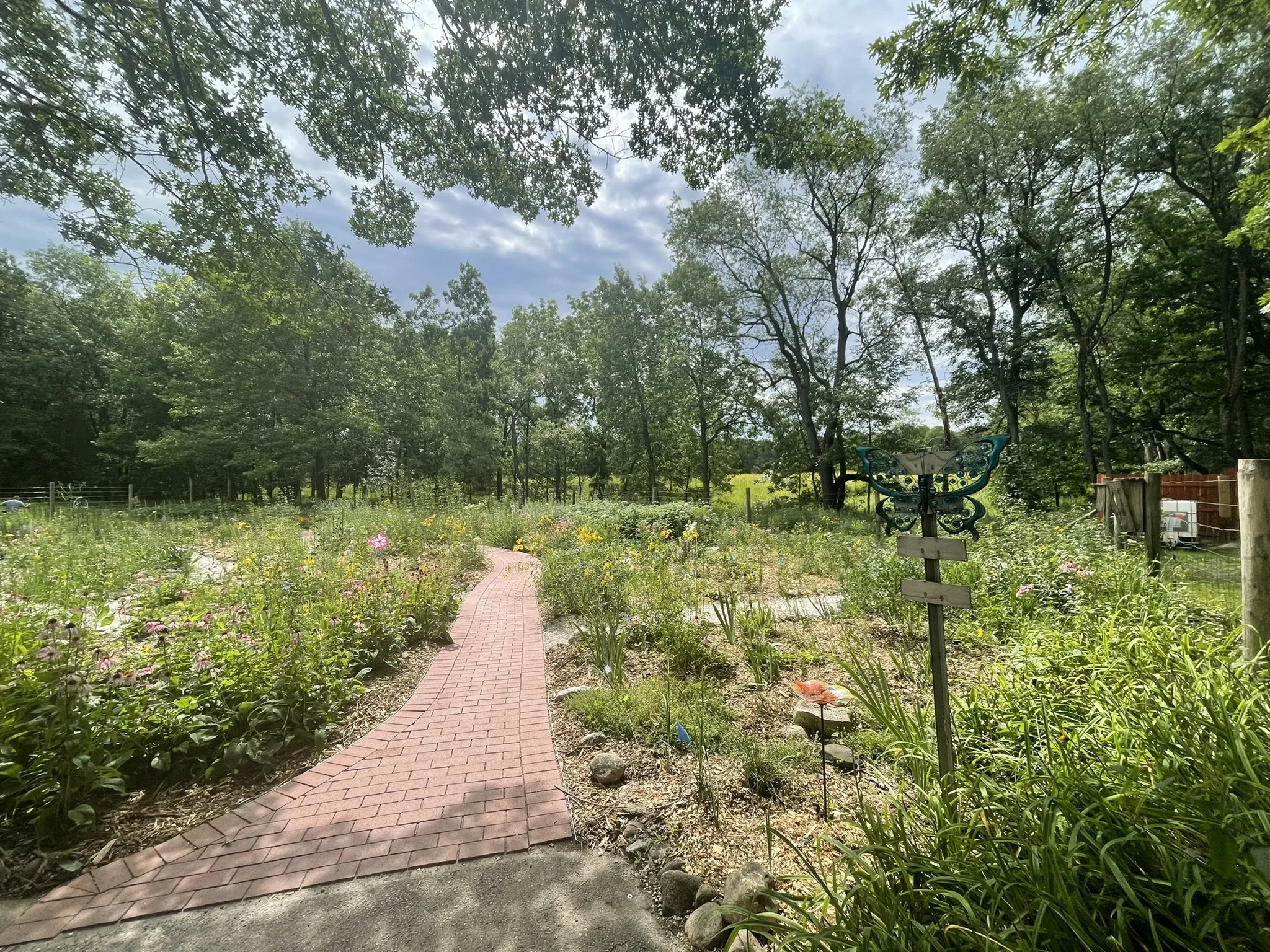 Butterfly garden at Lapham Peak